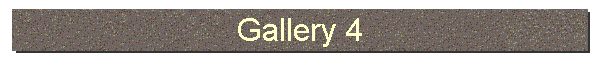 Gallery 4