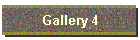 Gallery 4