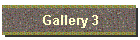 Gallery 3